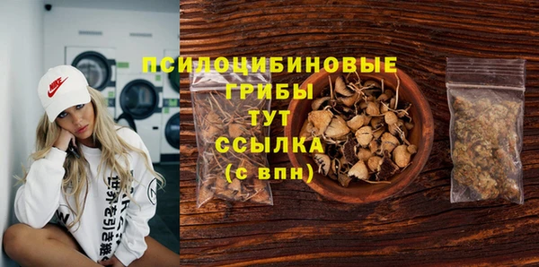 крисы Дмитров