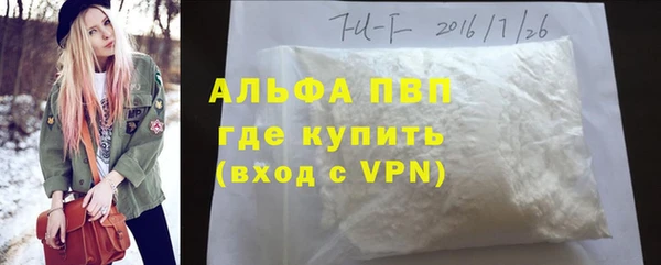 крисы Дмитров
