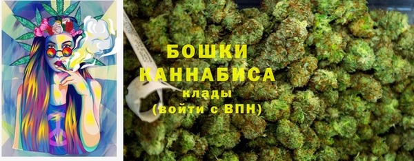 крисы Дмитров