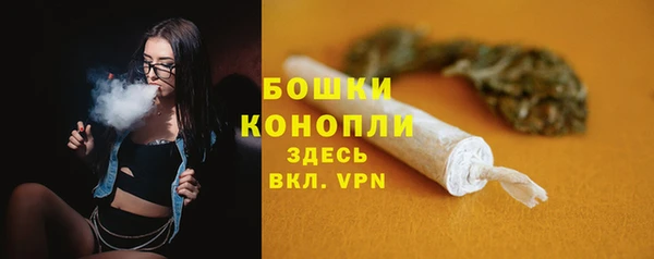крисы Дмитров