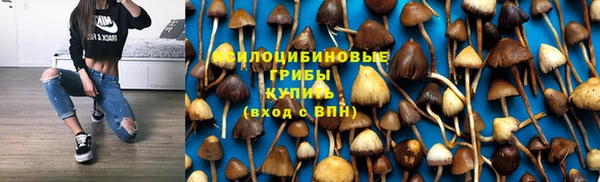 кокаин колумбия Дмитриев