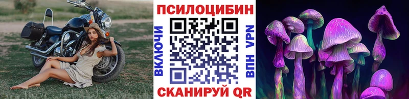 Галлюциногенные грибы Cubensis  Купить  Ивантеевка 