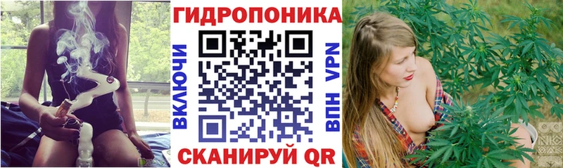 Бошки марихуана тримм  Купить закладки  Ивантеевка 