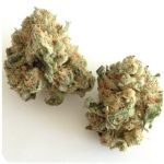Шишки "White Widow"  (Белая вдова)  Гидропоника -  Бошка VHQ в Ивантеевке