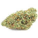 Шишки OG Kush  (Гидропоника, бошки) VHQ в Ивантеевке